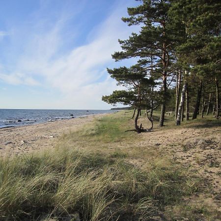 Tahkuna Forest House Kõrgessaare Esterno foto